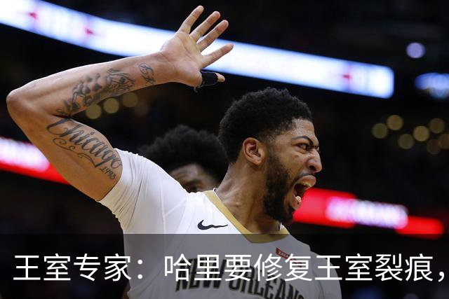 王室专家：哈里要修复王室裂痕，只有一办法，否则将彻底无望！